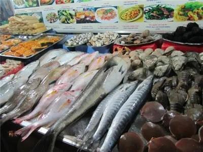 水產(chǎn)魚類市場(chǎng)全景 價(jià)格、行情、展會(huì)與供應(yīng)鏈解析