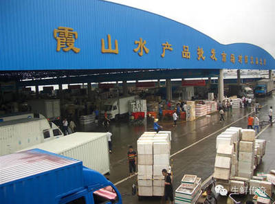 讓天下沒(méi)有難賣的魚蝦！探秘中國(guó)主要水產(chǎn)品批發(fā)市場(chǎng)